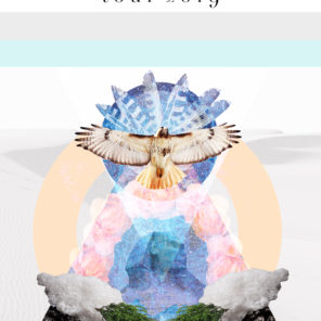 Tour Poster △ Hawk